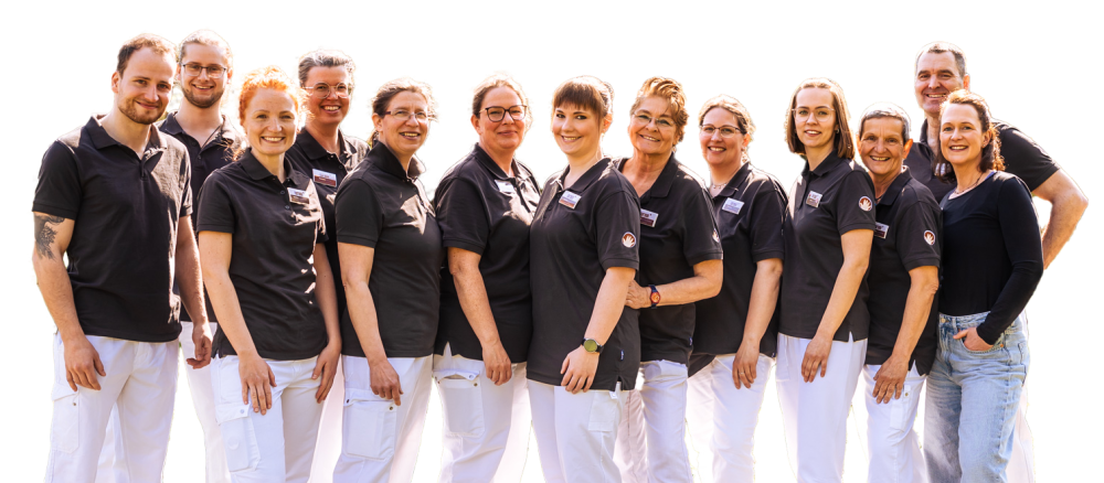 PhysioBraun Team